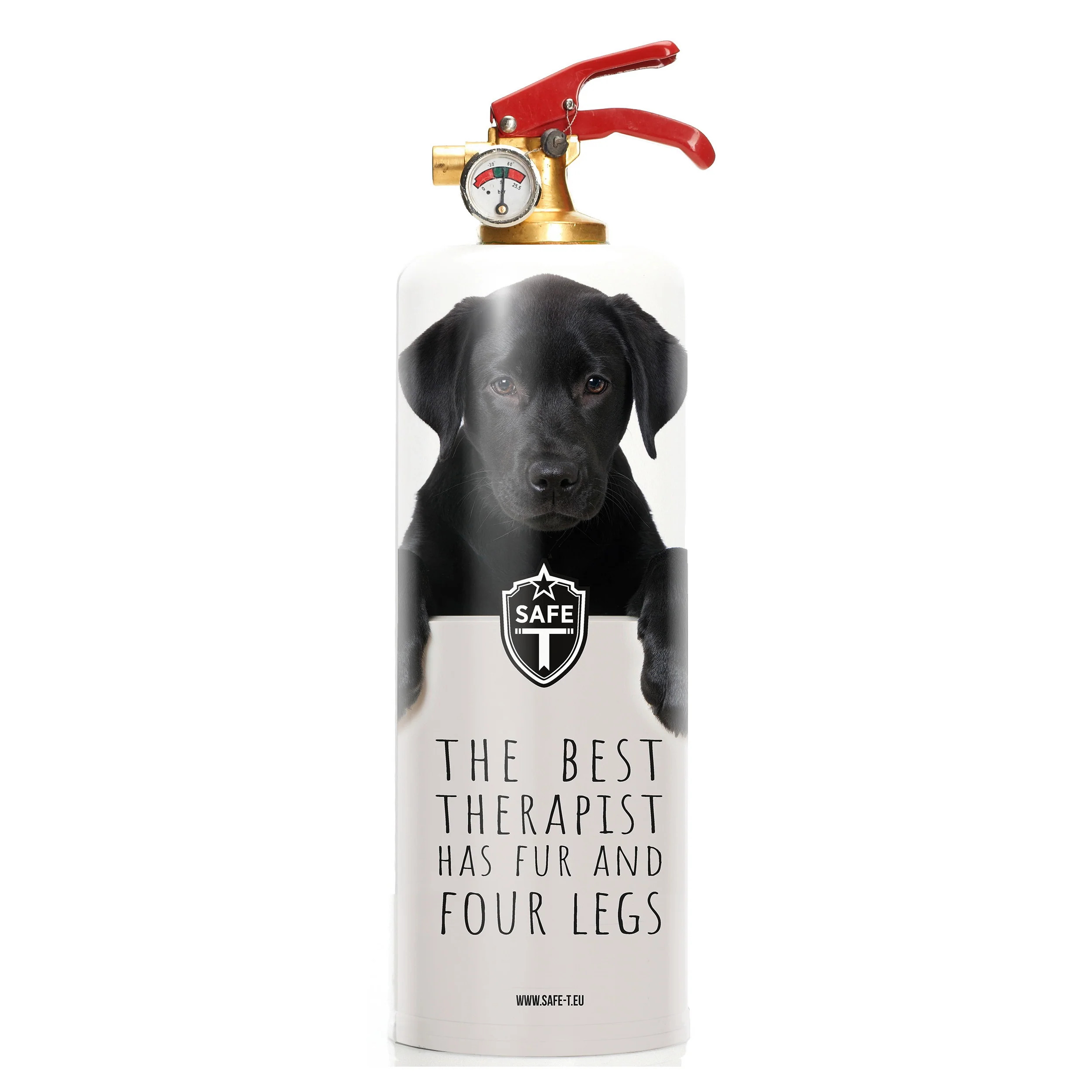 CHIC FIRE Design Fire Extinguisher Dogs Fully functional ABC