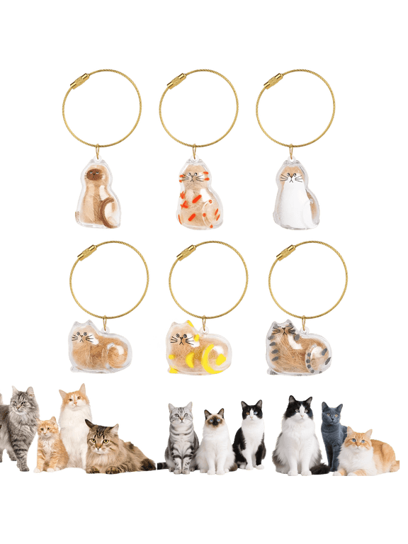 Cat Hair Holder Keychain | Hair Storage Bottle | Pet Fur Keepsake-Hold Fur & Keys in 6 Heart-Touching Styles, Always Keep Your Beloved Cat Close, Engravable Pet Memorial Gift for Owners