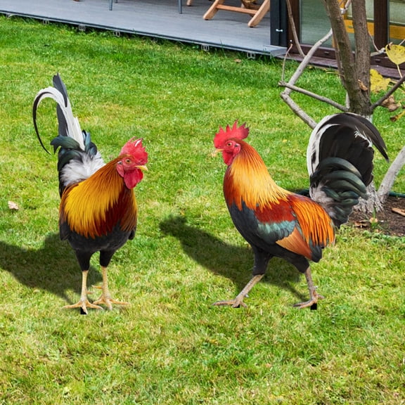 CHICHUMID 2Pcs Acrylic Rooster Inserted Ornament for Outdoor Display and Photo Prop 16.7X8.4In