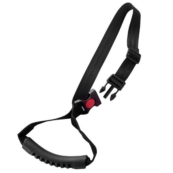CHICIRIS Auto Car Grab Handle, Practical Easy To Use Double Lock Elderly Grab Handle, Outdoor Elderly Disable For Home