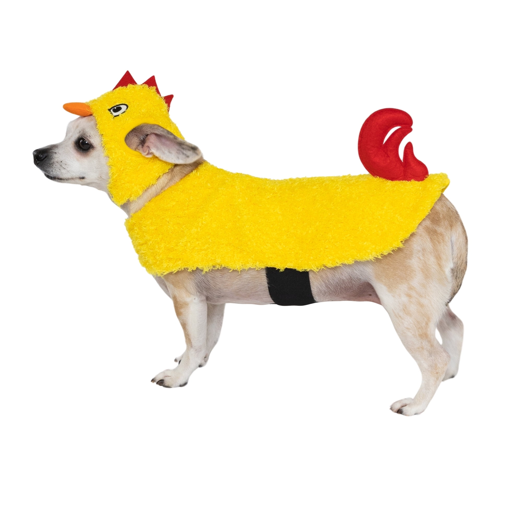 Vibrant Life Halloween Chicken Costume for Dogs & Cats, Yellow, Small
