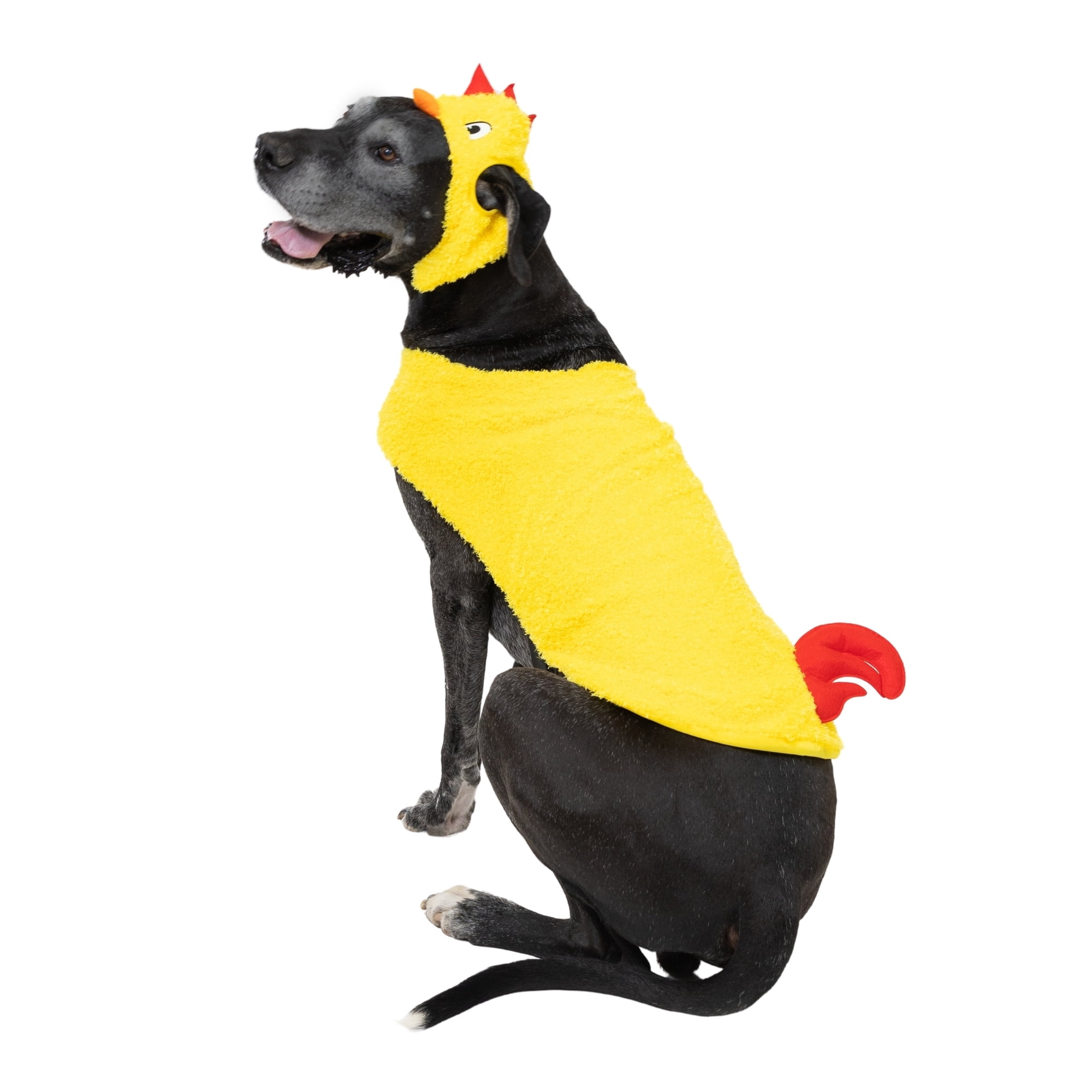 Vibrant Life Halloween Chicken Costume for Dogs, Yellow, Extra Large