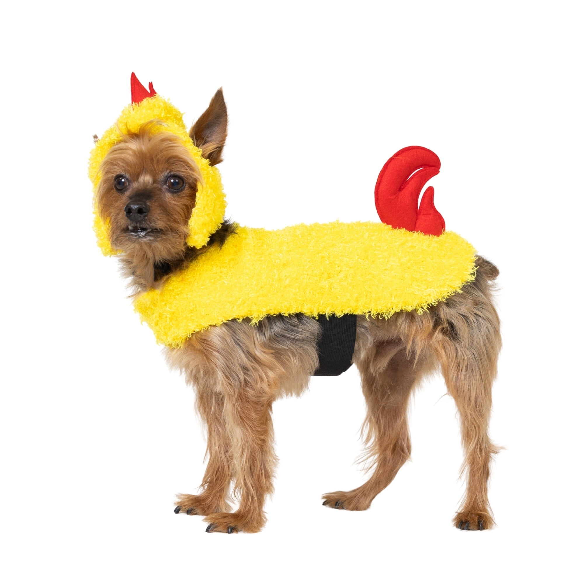 Vibrant Life Halloween Costume for Dogs & Cats, Chicken, Yellow, Extra Small