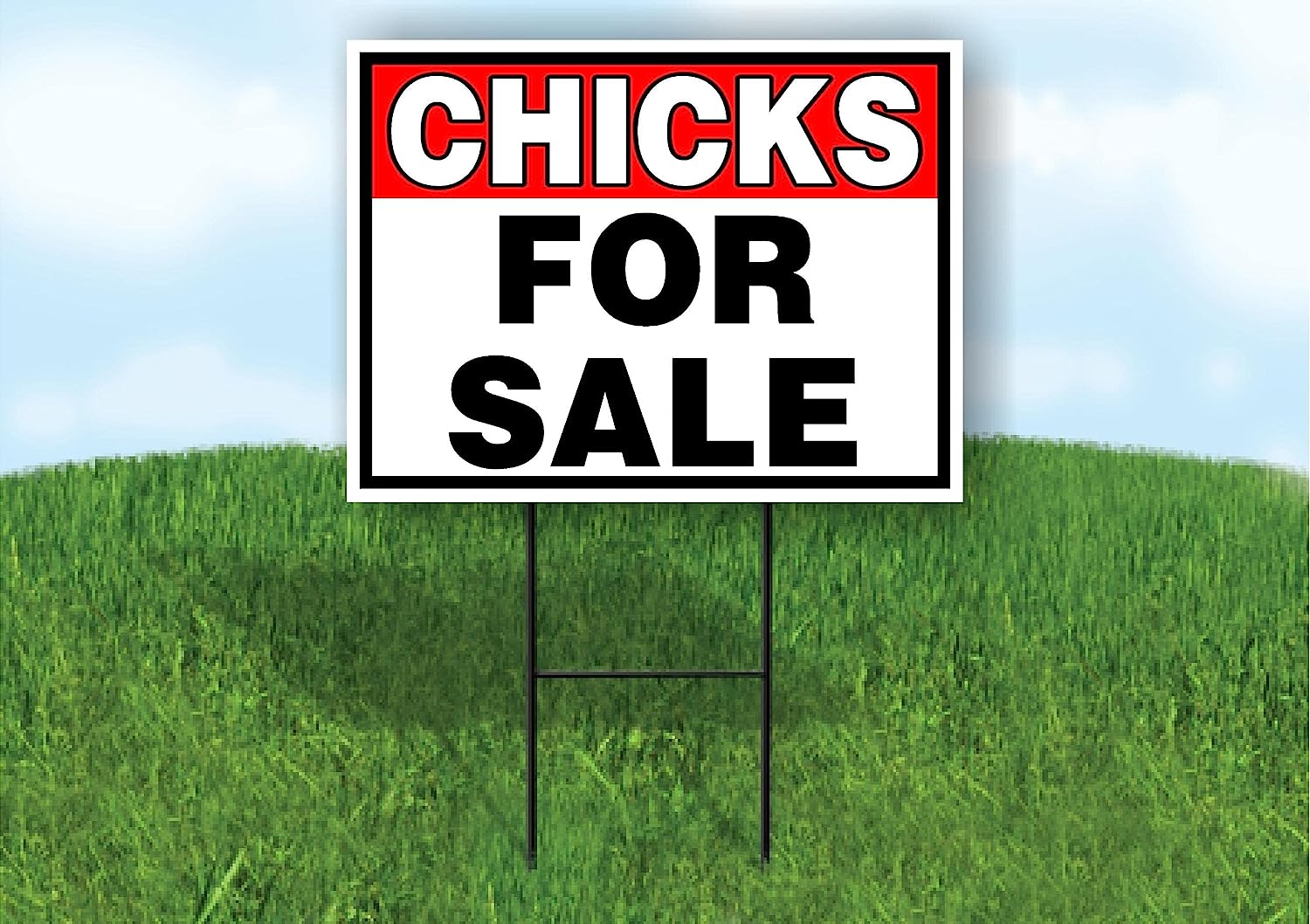 CHICKS FOR SALE RED BLACK 18 in x 24 in Yard Sign Road Sign with Stand, Double Sided