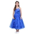 thumbnail image 1 of CHICTRY Kids Girls Organza Tutu Princess Dress Rhinestone Decor Birthday Party Dresses Blue 2, 1 of 6