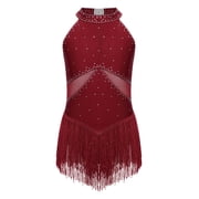 CHICTRY Kids Girls Shiny Rhinestone Tassel Latin Dance Dress Halter Ice Skating Leotard Dresses Modern Jazz Lyrical Dancewear Burgundy 6