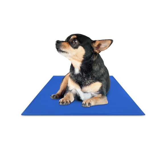 CHILLZ Cooling Pad for Dogs - Medium Dog Cooling Mat, 19.5 x 15.7 Inches - Blue Pet Cooling Mat