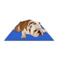 thumbnail image 1 of CHILLZ Pressure Activated Cooling Pad for Dogs, Large - Blue, 36 x 20 inches, 1 of 7