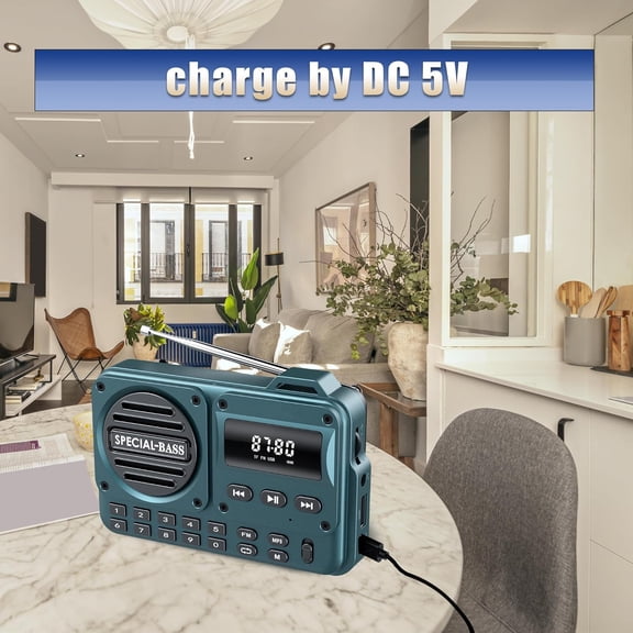 CHISHZL-Pocket Radio FM USB-C Charging 2000mAh Rechargeable Excellent Reception Clear Speaker and Headphone Jack,LCD Screen,FM Radio for Walk/Jogging/Gym, Bluetooth/TF(NO AM) (Carbon)