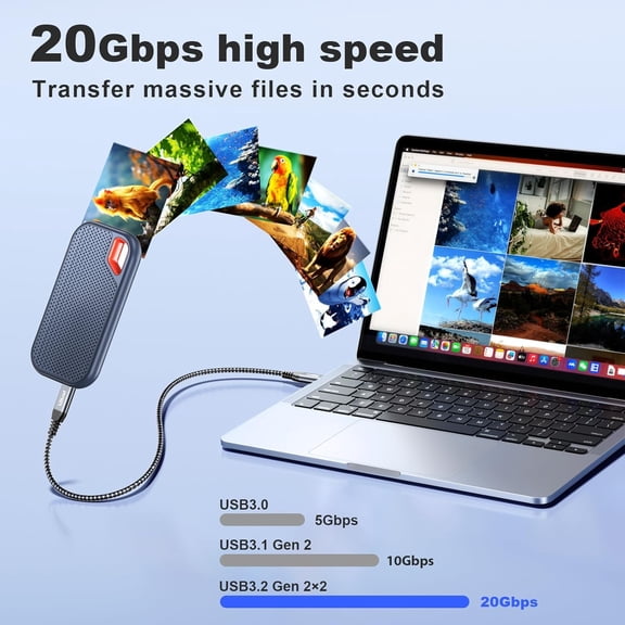 CHISHZL-USB C Cable, [1FT, 2Pack] 20Gbps Data Transfer, 100W PD Charging, 4K Video Output, USB 3.2 Gen 2x2 Cable Compatible with Thunderbolt 3 for Samsung T9/T7 SSD, iPhone 16/15, iPad Pro, USB-C Mon