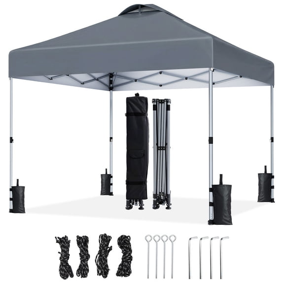 CHITOOMA 10 x 10ft Pop up Canopy Tent, Instant Outdoor Shelter Easy Portable Straight Leg Canopy Tent, Dark Gray