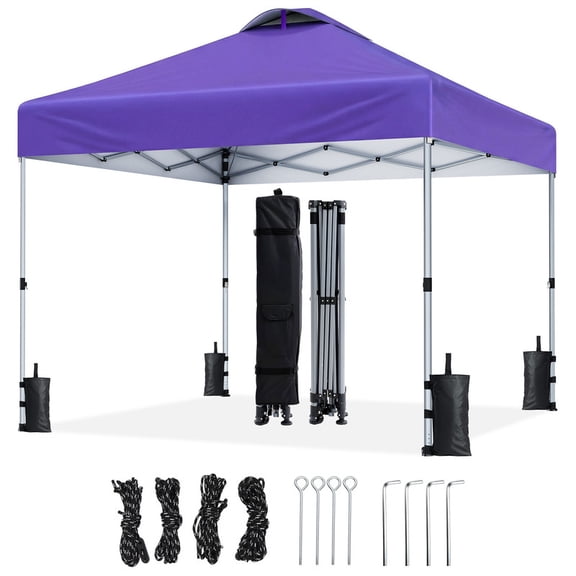 CHITOOMA 10 x 10ft Pop up Canopy Tent, Instant Outdoor Shelter Easy Portable Straight Leg Canopy Tent, Purple