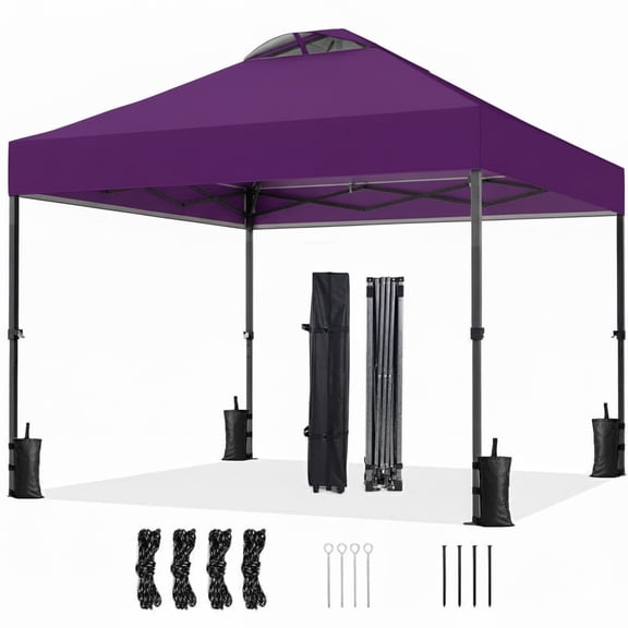 CHITOOMA 10 x 10ft Pop up Canopy Tent, Instant Outdoor Shelter Easy Portable Straight Leg Canopy Tent, Purple