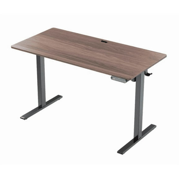 CHITOOMA 48" x 24" Electric Standing Desk with 4 Memory Preset Heights, Adjustable Standing Desk with Headphone Hook for Home Office, Walnut