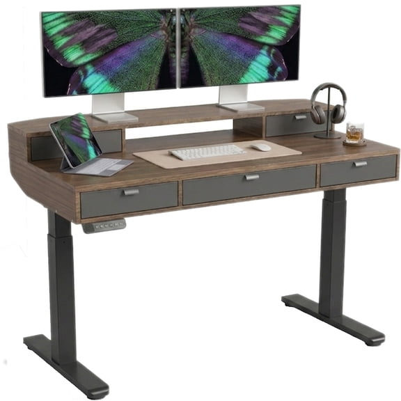 Electric Standing Desk with 5 Drawers, Monitor-Riser Design, 48" x 24" Height Adjustable Sit Stand Desk for Home Office, 4 Preset Pannel, Black
