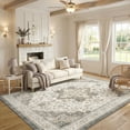 thumbnail image 1 of CHITOOMA 5'x7' Area Rugs for Living Room, Soft Vintage Rugs for Bedroom Office Machine Washable Rugs for Dining Room Distressed Non-Slip Carpet, 1 of 7