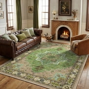 CHITOOMA 5'x7' Boho Area Rugs for Living Room, Machine Washable Stain Resistant Non-Shed Carpet, Area Rug with Non-Slip Backing for Bedroom, Dining Room, Dorm, 