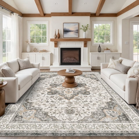 CHITOOMA 8'x10' Area Rugs for Living Room, Washable Rugs Vintage Soft Living Room Rug for Bedroom Dining Room Dorm Office with Non-Slip Backing, Stain Resistant Non-Shed Carpet