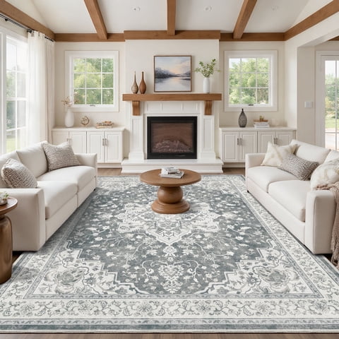 CHITOOMA 8'x10' Area Rugs for Living Room, Washable Rugs Vintage Soft Living Room Rug for Bedroom Dining Room Dorm Office with Non-Slip Backing, Stain Resistant Non-Shed Carpet