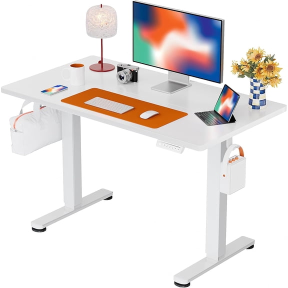 CHITOOMA Electric Standing Desk, 44 x 24 Inches Height Adjustable Stand up Desk, Sit Stand Home Office Desk, with Two-Piece Desktop (White)