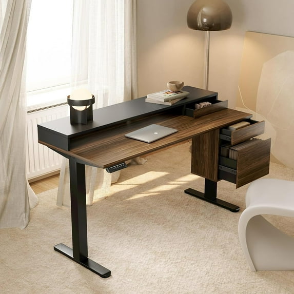 CHITOOMA Electric Standing Desk with Drawers, 47 Inch Adjustable Desk with File Cabinet & Monitor Stand, Ergonomic Stand Up Table for Home Office, Deep Walnut