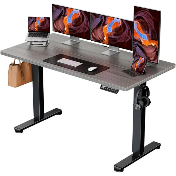 CHITOOMA Height Adjustable Electric Standing Desk, 55 x 28 Inches Sit Stand up Desk, Large Memory Computer Home Office Desk with Two-Piece Desktop (Grey)