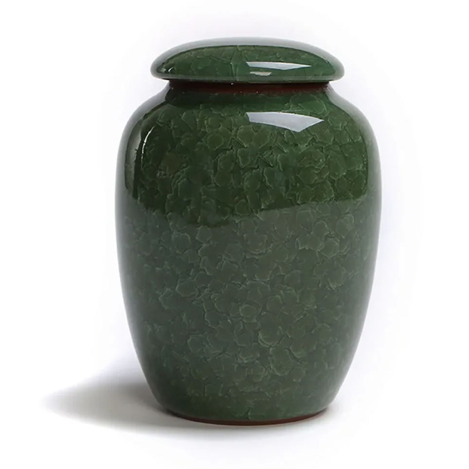CHNGYDZ Beautiful HandPainted Ceramic Pet Urn for Birds Dogs Cats and