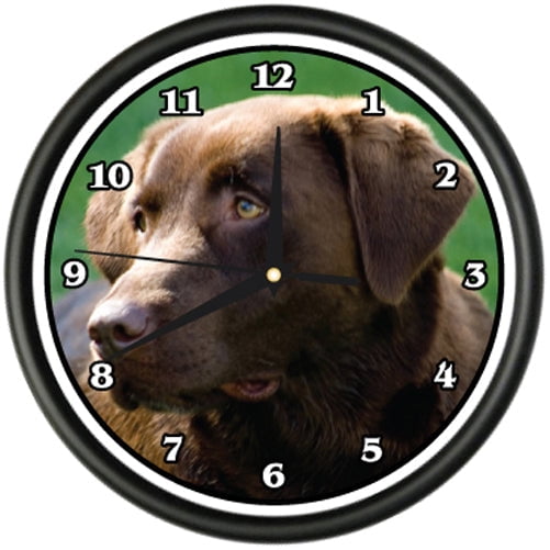 CHOCOLATE LABRADOR Wall Clock dog doggie pet breed gift