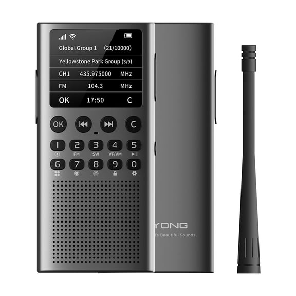 CHOYONG LC90 Internet Radio Global Version WIFI/4G Multi-Functional Portable , Bluetooth Micro SD (New)