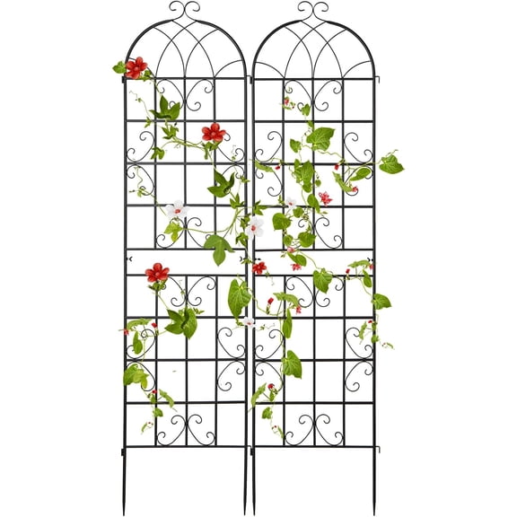 CHTER 2 Pack Trellis for Climbing Plants Outdoor, 7 FT Tall Galvanized Steel Garden Trellis for Patio Lawn Wall Decor, Plant Trellis for Vine Cucumber Tomato Flower Clematis Roses