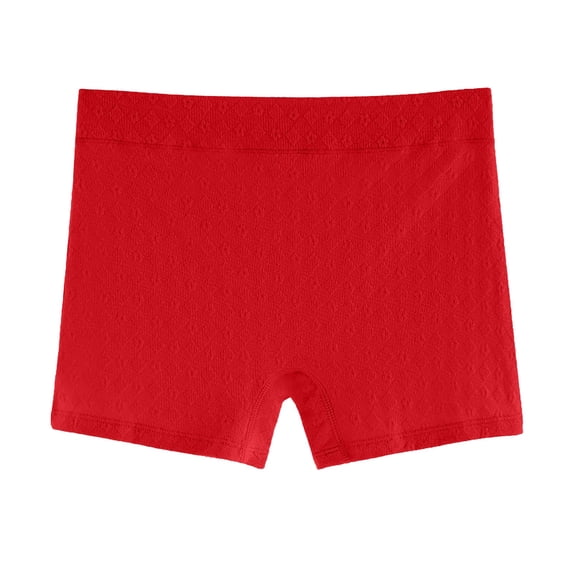 CHUMUD Womens Plus Size Seamless Boy Shorts Underwear Full Coverage Soft Boxer Briefs High Waisted Panties