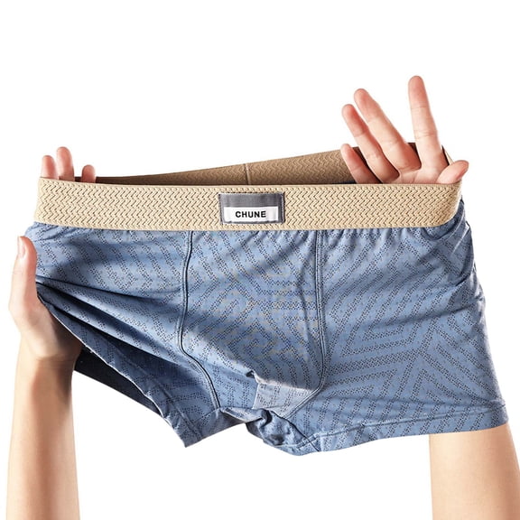 CHUNE Men's XL Boxer Briefs - Blue - Nylon Spandex, Stretchy Breathable, Comfortable Everyday Wear, Stylish Design