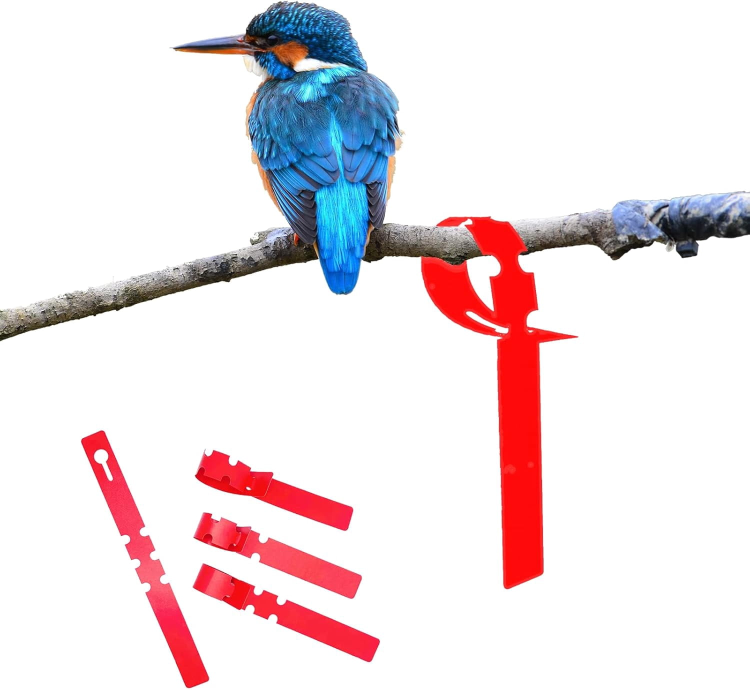 CHUNTIAN DaTpuik 100Pcs Plant Tags Wrap Around Tree Tags Markers ...