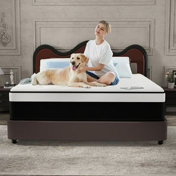 CICIMLU 12 inch Queen Mattress,Medium Comfort Queen Size for Adult Hybrid Mattress in a Box