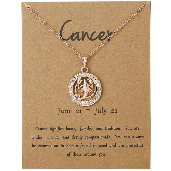 CILENON Gold Accessories for Women Constellation Pendant Necklace for Women 925 Sterling Silver Wife Jewelry Gift Rose Gold Pendant Necklace Valentines Day Anniversary Birthday Gifts (D,One Size)