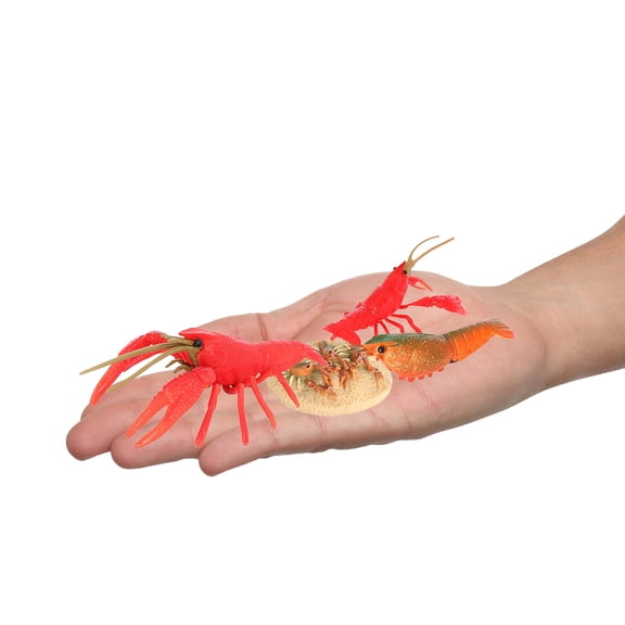 CIMAXIC Simulation Crayfish Toy Set - Lifelike Growing Crayfish Figurines, Educational and Funny Crayfish Toys for Kids