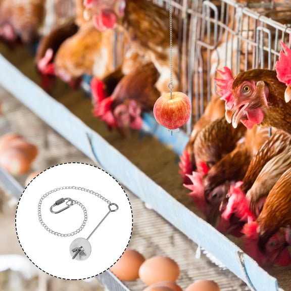 CIMAXIC Underslung Chicken Feeder, Silver Iron, Portable for Fruits Vegetables, Attracts Chickens