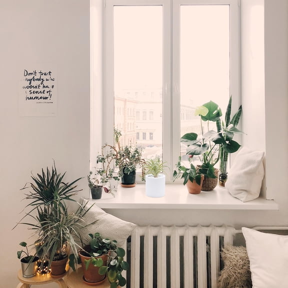 CIMAXIC 1Pc Handmade Artificial Bromeliad Plant for Desk Photo Props and Decor