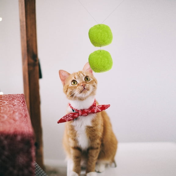 CIMAXIC 20Pcs Assorted Color Craft Pom Poms for Decorations Garland and Creative Crafts