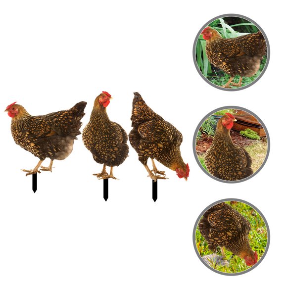 CIMAXIC 3Pcs Weatherproof Acrylic Garden Stakes Realistic Chicken Yard Decorations