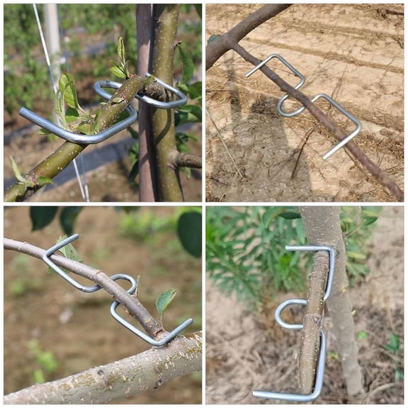 CIMAXIC 40PCS Steel Orchard Branch Supports - Limb Spreaders for Tree Management and Angle Adjustment to Improve Fruit Yield and Canopy Structure
