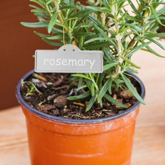 CIMAXIC 8Pcs Silver Rectangular Aluminum Plant Label for Garden Marking Outdoor Waterproof Tree Tags 3.5X1.5X0.04In