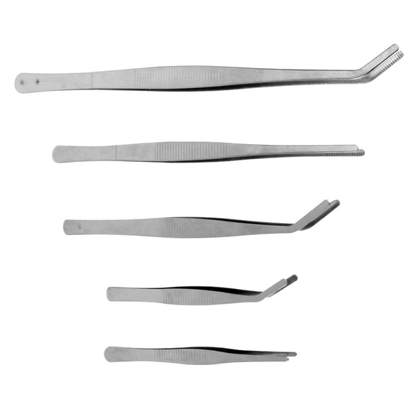CIMAXIC Gardening Tweezers Silver 5Pcs Stainless Steel Succulent