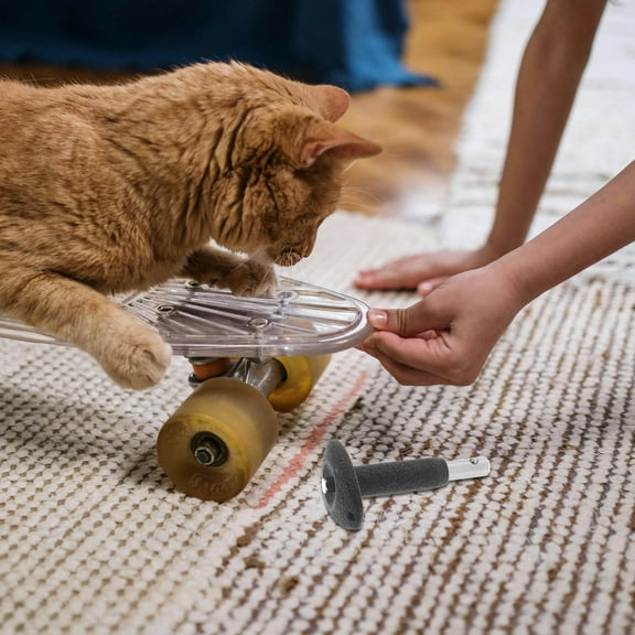 CIMAXIC Skate Wrench Tools Roller Skate Bearing 1 Set