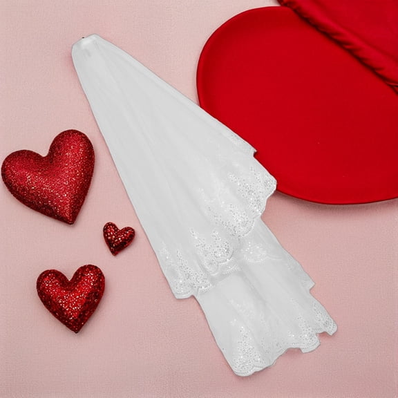 CIMAXIC Ivory Embroidered Tulle Bridal Veil with Sequin Edge and Metal Comb