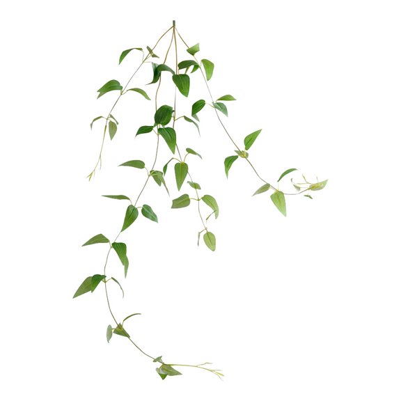 CIMAXIC Artificial Clematis Rattan Decor Plastic Flower for Home Decor Green 1Pc