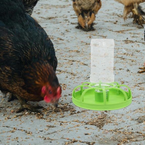 CIMAXIC Tortoise Water Dish Poultry Feed Dispensing Plastic Green for Pigeon 1Pack