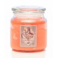 thumbnail image 1 of CINNAMON CLOVE BUD - Courtneys Candles Maximum Scented 16oz Large Jar Candle, 1 of 1