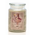 thumbnail image 1 of CINNAMON-EMBERS - Courtneys Candles Maximum Scented 26oz Large Jar Candle, 1 of 1