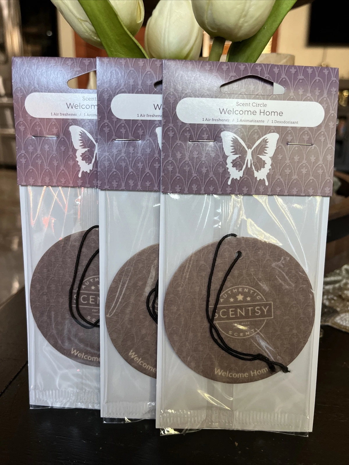 CIRCLE- 3 New Scentsy Scent Circle Hanging Car Air Freshener Welcome Home